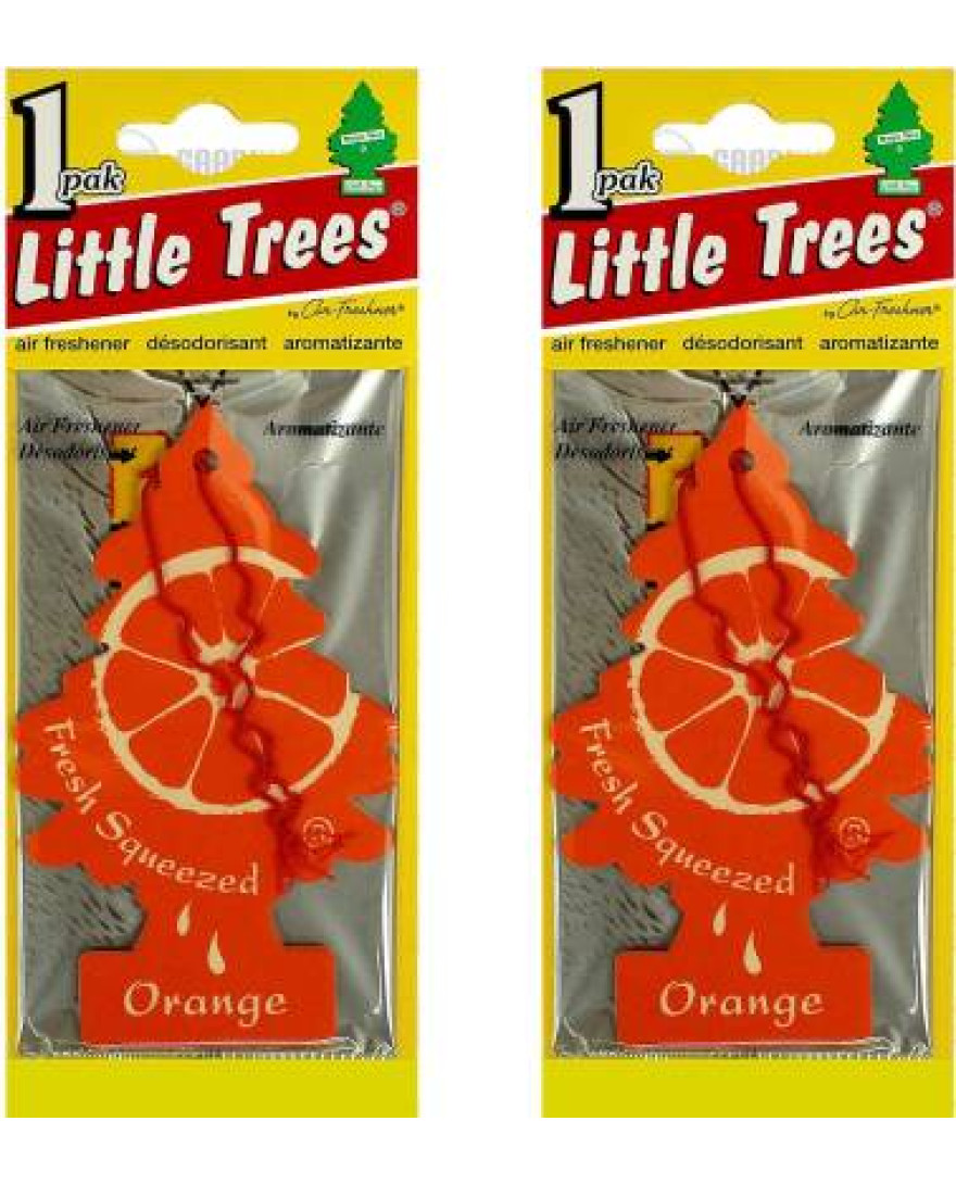 Little Trees Hanging Orange Car Air Freshener | 10g